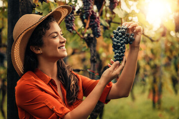 Woman visiting vineyard on sunny day