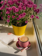 Coffee cup chocolate notebook beautiful pink autumn Chrysanthemum flowers in yellow pot on window. Cozy home vibes fall mood Urban spaces plants Drinking hot cocoa in cold weather Good morning concept