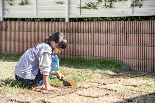 庭に芝生を植えるお手伝いをする小学生