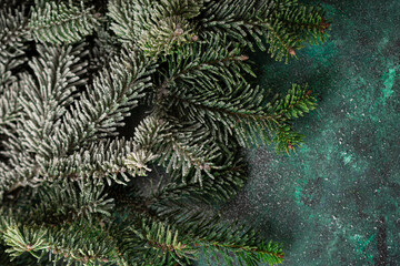 Overhead view of green Christmas tree branch and snow