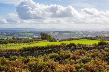 Fototapeta na wymiar landscape in herefordshire