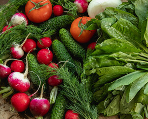 food, vegetable, tomato, vegetables, pepper, healthy, fresh, cucumber, vegetarian, salad, onion, diet, isolated, red, fruit, lettuce, cabbage, carrot, garlic, white, health, broccoli, agriculture, pap