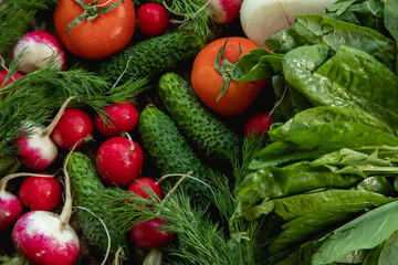 food, vegetable, tomato, vegetables, pepper, healthy, fresh, cucumber, vegetarian, salad, onion, diet, isolated, red, fruit, lettuce, cabbage, carrot, garlic, white, health, broccoli, agriculture, pap