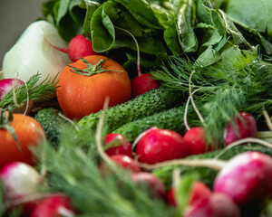 food, vegetable, tomato, vegetables, pepper, healthy, fresh, cucumber, vegetarian, salad, onion, diet, isolated, red, fruit, lettuce, cabbage, carrot, garlic, white, health, broccoli, agriculture, pap