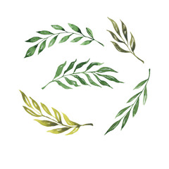 Decorative doodle green leaves collection. Hand drawn watercolor illustration.