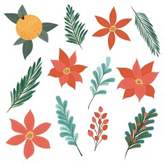 Red flowers, branches, Christmas tree branches, orange, mistletoe. Set of clipart elements. Flat vector illustration of plants for creating Christmas designs.