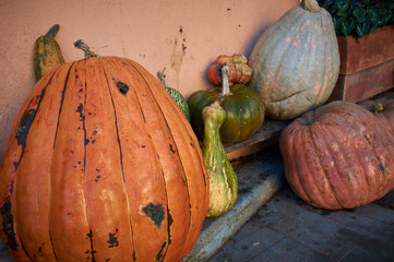 Pumpkins
