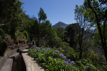 Levada in Madeira, water in a small canal and sunny weather