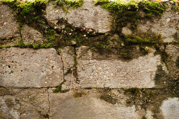 An old stone wall overgrown with green moss