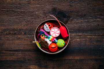 Fototapeta na wymiar Pet toys. Many toys and balls for dog and cat on wooden background. Various balls, toy mouse, bones for playing and training