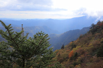四国カルスト　紅葉