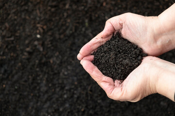 Close up of a handful of soil in hands on a dark background for agriculture