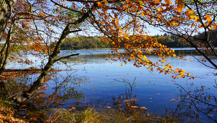 Obraz premium Hinerland Insel Wolin