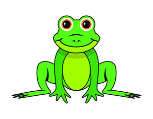 cartoon frog, green color, vector illustration 