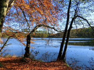 Obraz premium Hinerland Insel Wolin