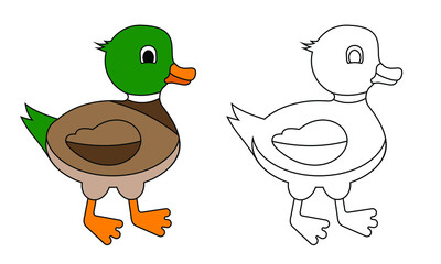 cute colorful duck, vector illustration 