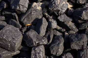 Natural hard coal texture for background - Coal industry