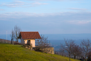 View of a small house as a resting place in the vineyards in Rheinhessen / Germany 