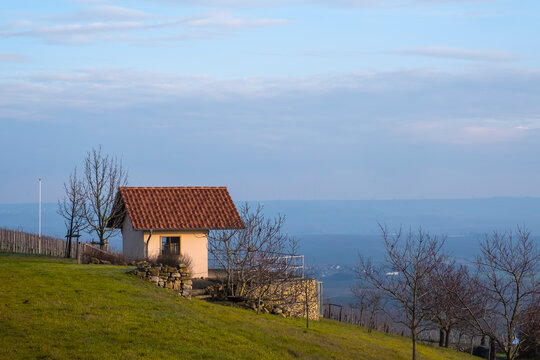 View of a small house as a resting place in the vineyards in Rheinhessen / Germany 