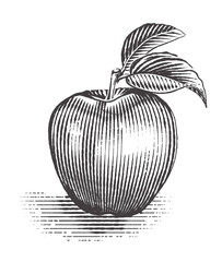 Apple with leaf. Vintage. Engraving style. Vector illustration of apple.