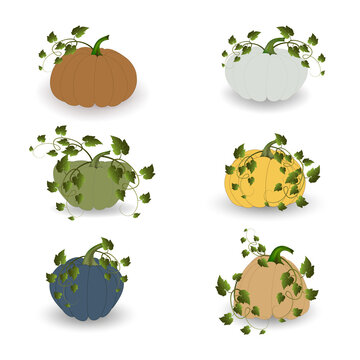 Different pumpkins, different colors with green leaves and a shadow on a white background.