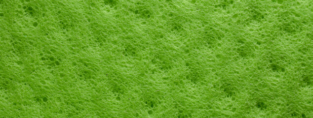 Green fiber sponge pattern texture banner, green abstract surface close-up background