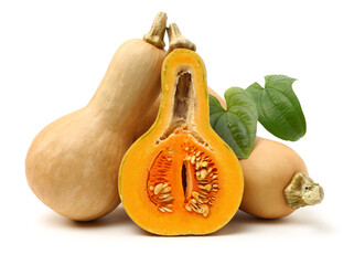 butternut squash isolated on white background.