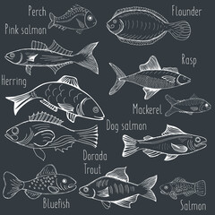 Vector illustration sketch - fish marketCard menu seafood. vintage design template, banner.