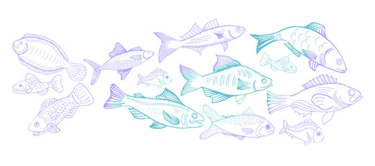 Vector illustration sketch - fish marketCard menu seafood. vintage design template, banner.
