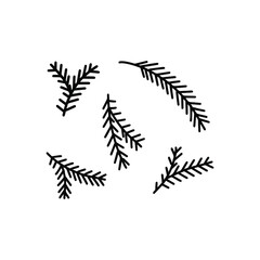 Hand drawn spruce branches.
Doodle vector illustration for winter greeting cards, posters, stickers and seasonal design.
