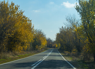 Road that crosses a forest in the colors of autumn. Car rides on beautiful roads - concept.