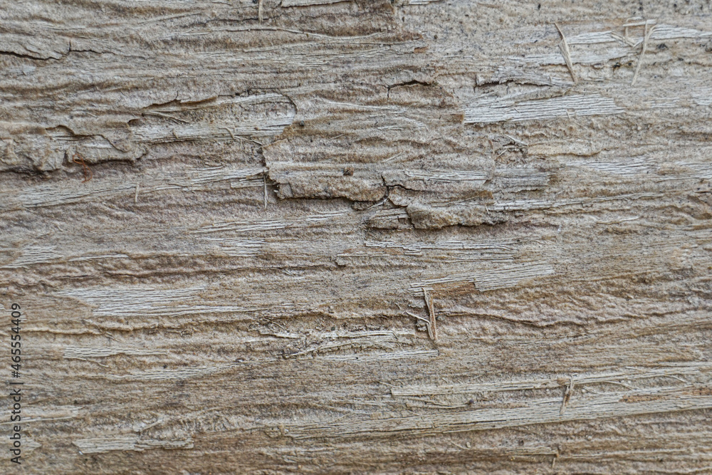 Poster the abstract surface of the uneven wood for a background pattern. a detailed element graphic for a c