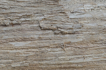 the abstract surface of the uneven wood for a background pattern. a detailed element graphic for a creative design.