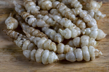 crosne japanese artichoke (Stachys affinis) root vegetable that can be eaten raw, pickled, dried or cooked