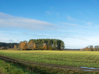 Naklejka premium Autumn landscape in Latvia, field forest road