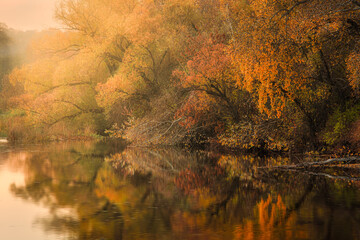 Colorful autumn landscape with trees and a river. Yellow, orange and red trees over a lake or pond. Autumn landscape