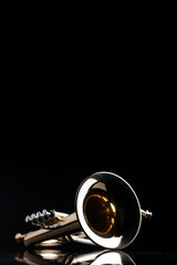 A lacquered four valve flugelhorn with a gold plated mouthpiece on a black reflective surface