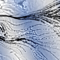 抽象的　水墨画　テクスチャ