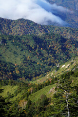 Fototapeta premium 秋の志賀高原