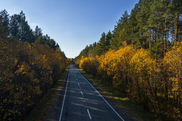 aerial photography, a long highway in the autumn forest. Bright yellow, orange, green trees and warm rays of the sun. The concept of travel in Karelia.