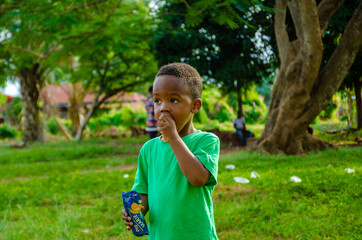 Portrait of happy child boy eating in the park