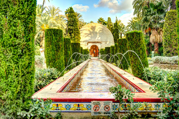 Palmeral of Elche, Spain, HDR Image