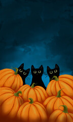 Black cats pumpkin