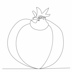 pomegranate drawing one continuous line vector