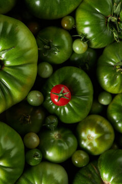 Cherry tomatoes placed on pile of green vegetables