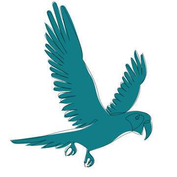 recommend clip art: parrot flying one continuous line drawing vector