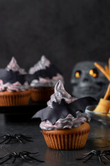 Cupcakes with colorful cream decorated with bats for Halloween party on dark gray background