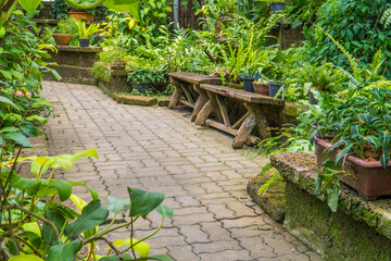 Fototapeta na wymiar Tropical botanical garden decorated with park bench with concrete pathway. Beautiful botanic park.