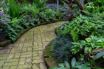 Tropical botanical garden decorated with many types of plants. Beautiful botanic garden with stone path.