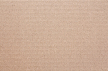 Fototapeta na wymiar Cardboard sheet texture background, detail of recycle brown paper box pattern.